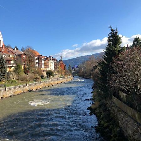 Witrich Apartman Apartment Murau Exterior photo